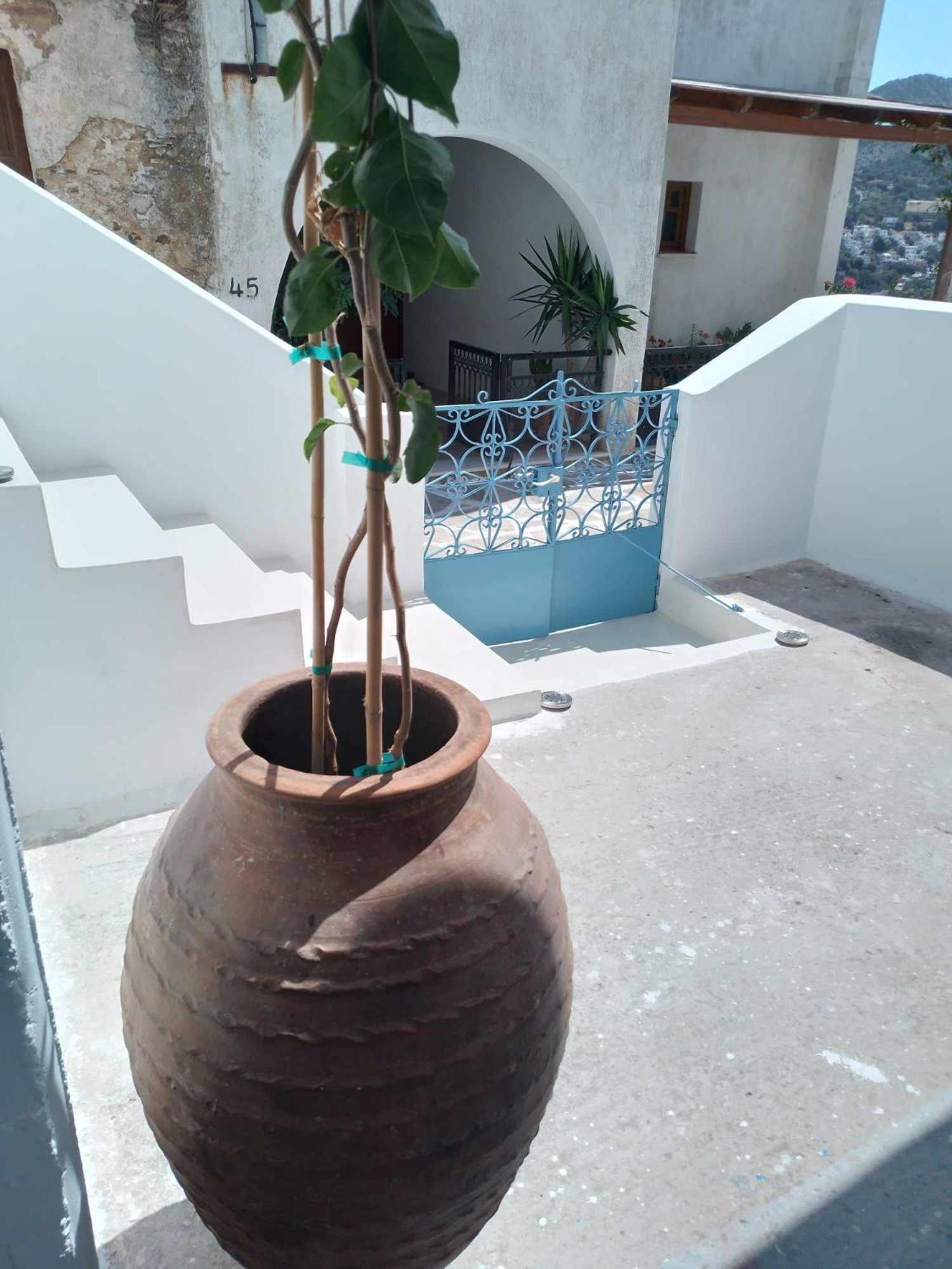 הוילה Koronos Blue House מראה חיצוני תמונה